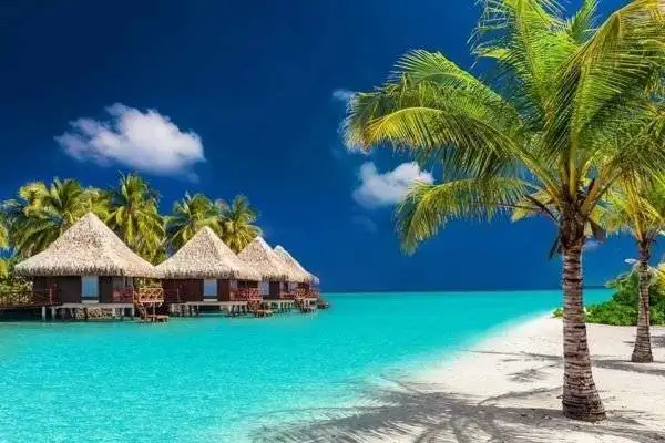 How to Get Last-Minute Business Class Deals To Maldives